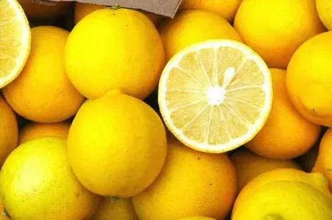 تصویر 2 از راهنمای خرید لیمو شیرین جعبه ای + قیمت عالی